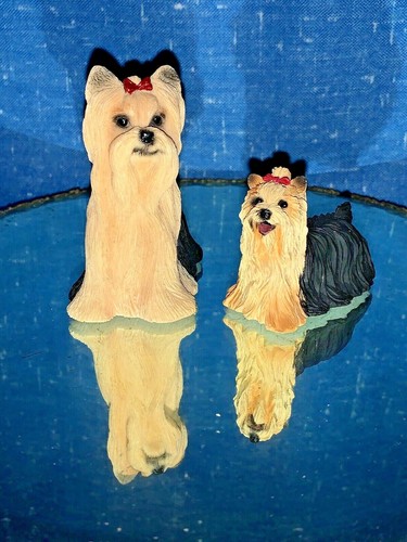 Vintage yorkshire terrier red - yorkshire,