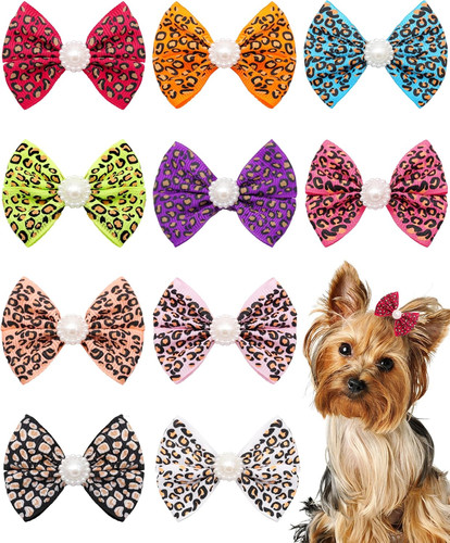 Pack small dogs - 10,