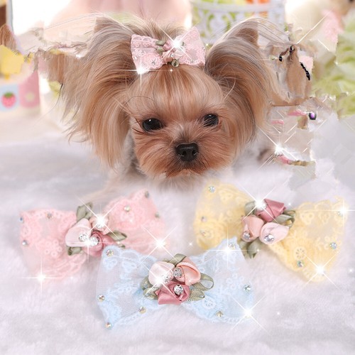 Packs rhinestone barrettes - 3,