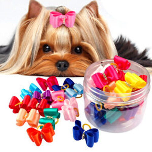 100pcs cat dog - cat, bows