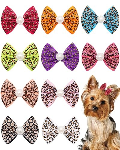 Pack small dogs hair - 2",