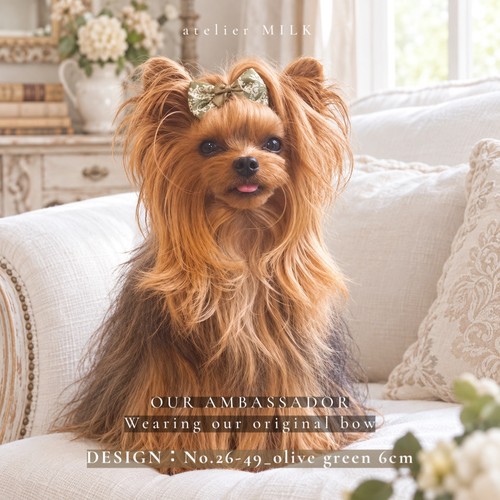4pc set dog hair - dog, yorkie