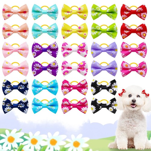 20pcs daisy yorkie - daisy, puppy
